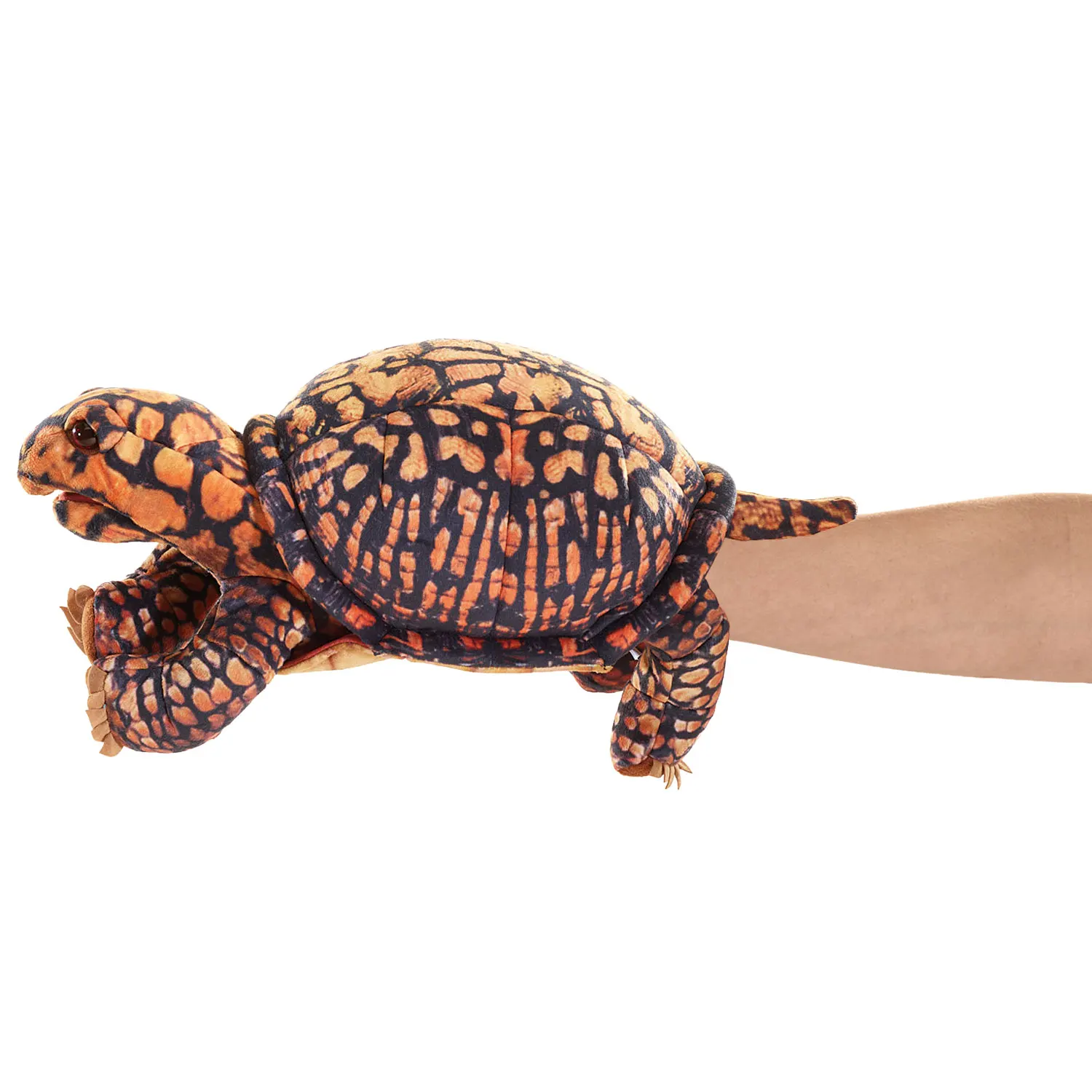 Box Turtle / Dosenschildkröte-Folkmanis® Handpuppen