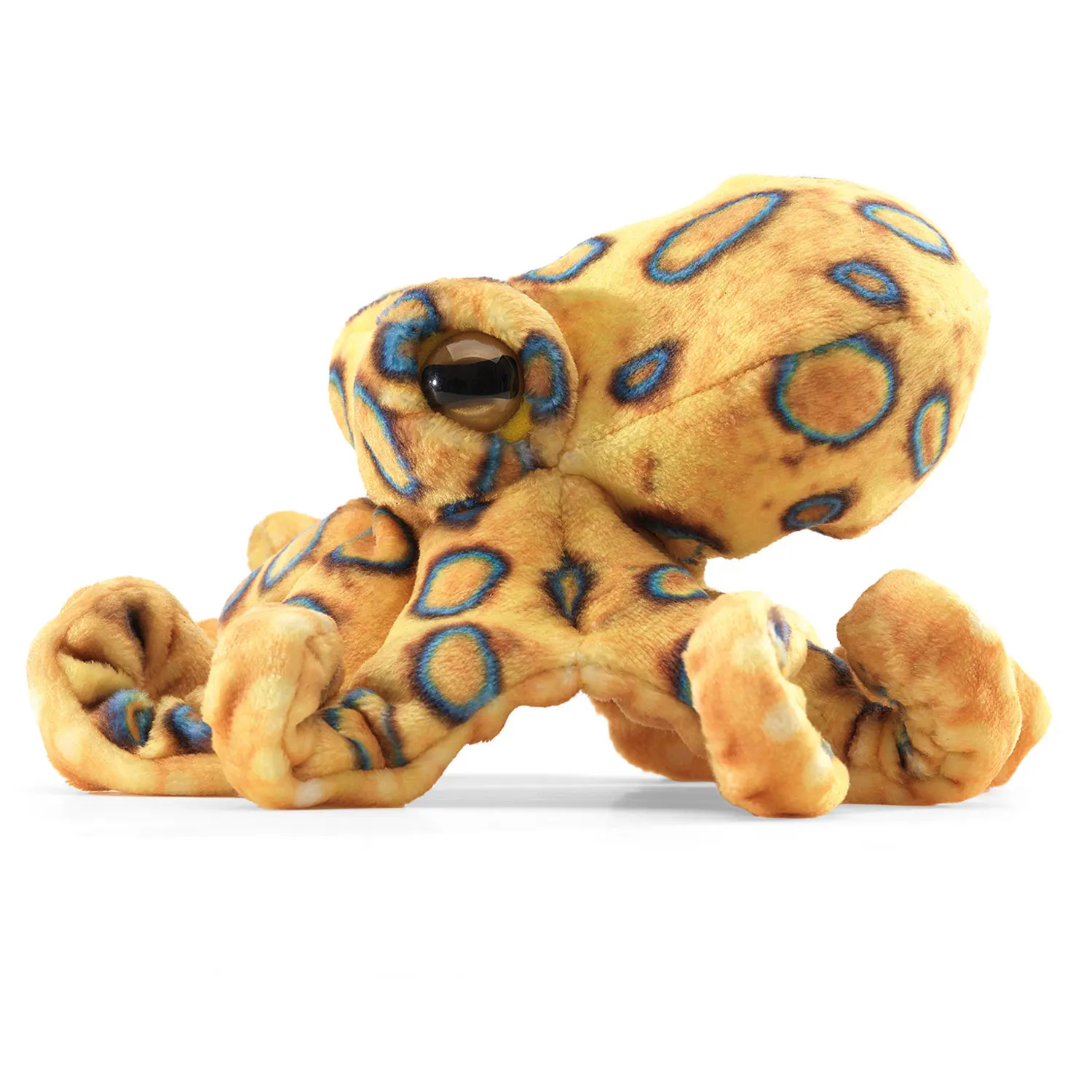 Mini Blue-ringed  Octopus / Mini blaugeringelte Krake-Folkmanis® Puppets