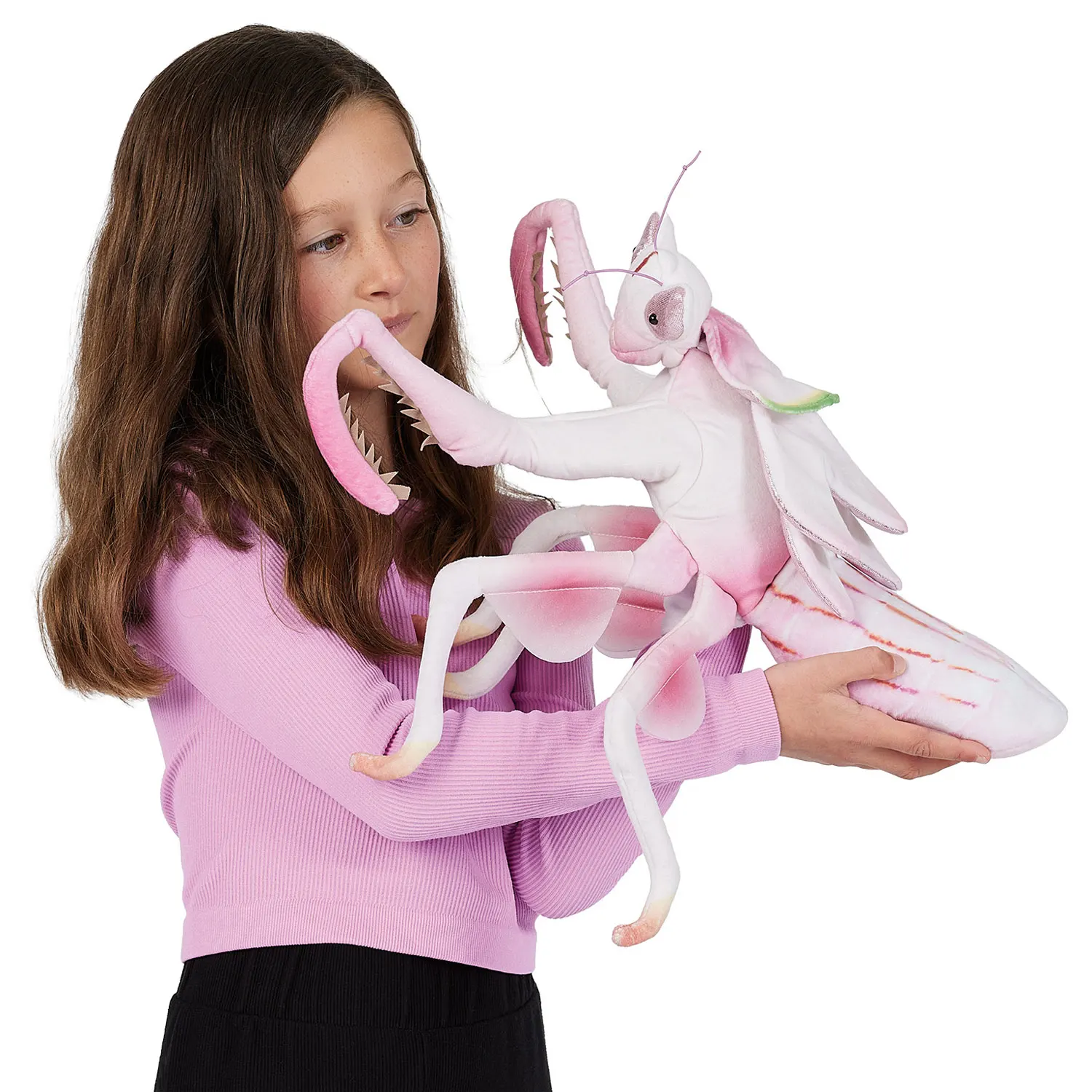 Gottesanbeterin / Orchid Mantis-Folkmanis® Handpuppen