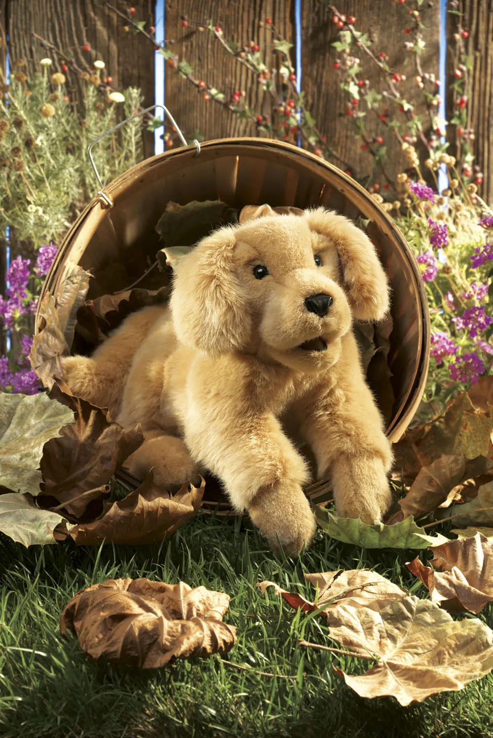 Golden Retriever Baby / Golden Retriever Puppy-Folkmanis® Puppets