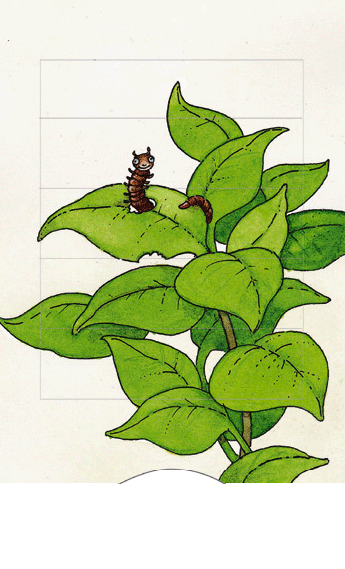 Lebende Karte SM45 Schmetterling-Bärenpresse