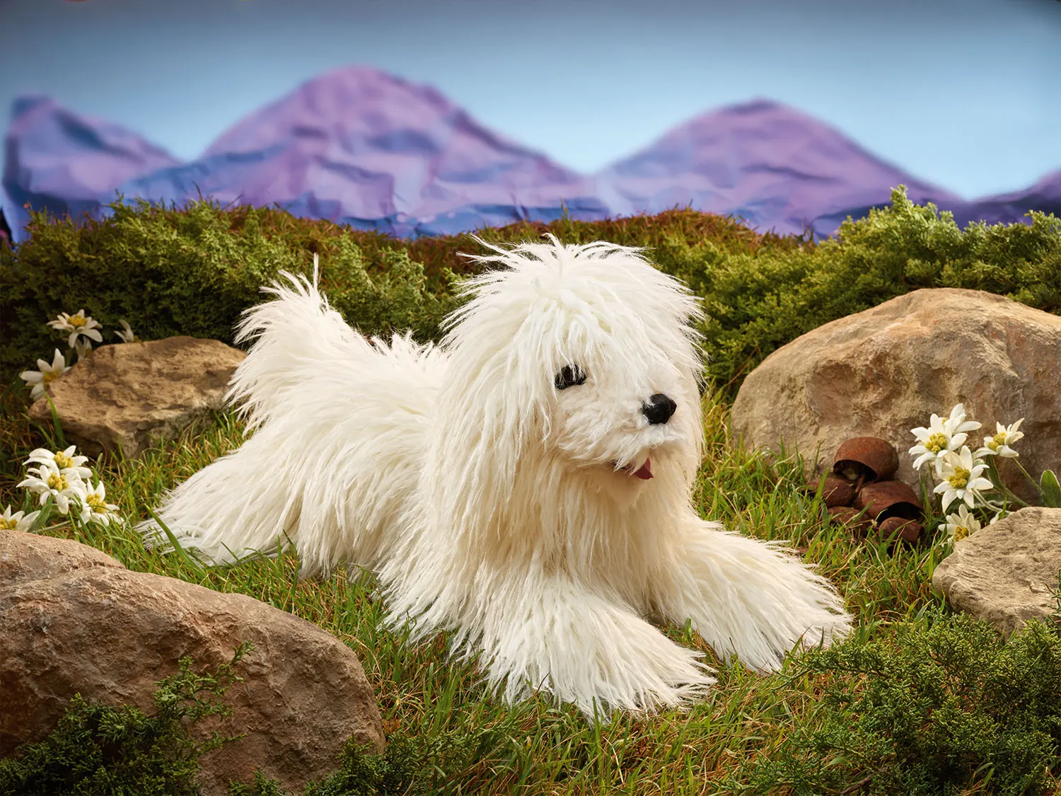 Komondor / Wischmophund