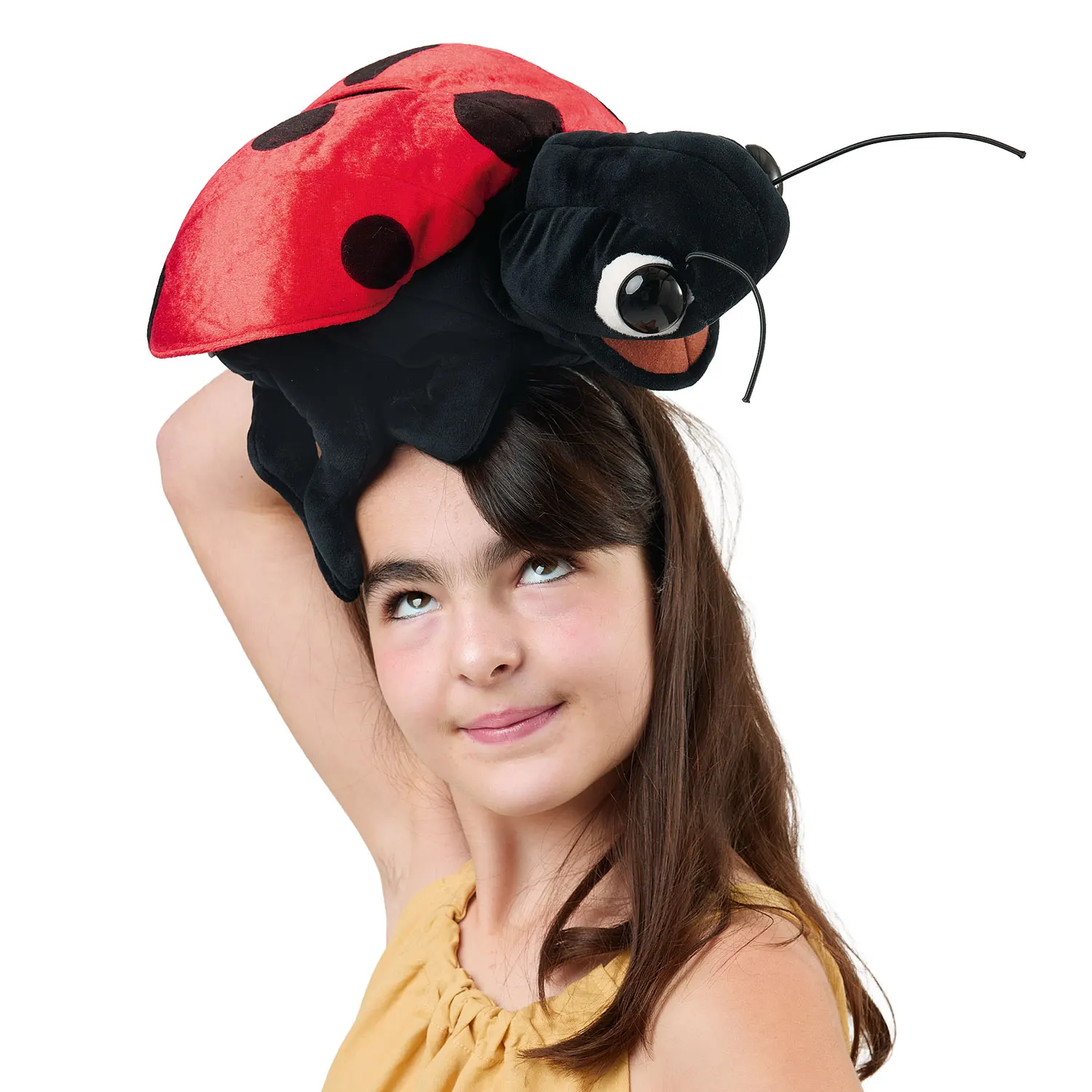 Ladybug / Marienkäfer