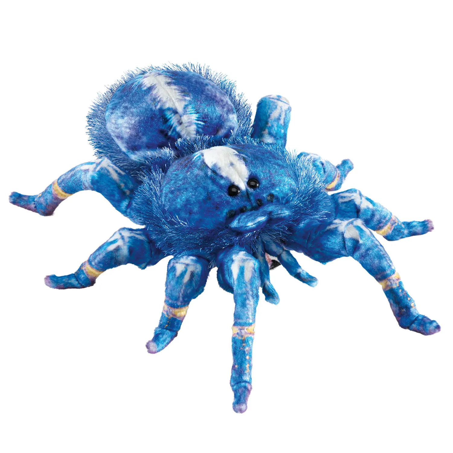 Blue Tarantula / Blaue Vogelspinne-Folkmanis® Puppets