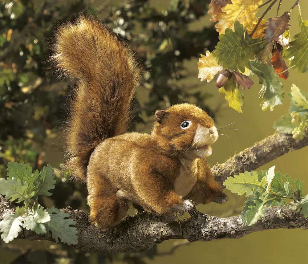 Eichhörnchen / Red Squirrel-Folkmanis® Puppets