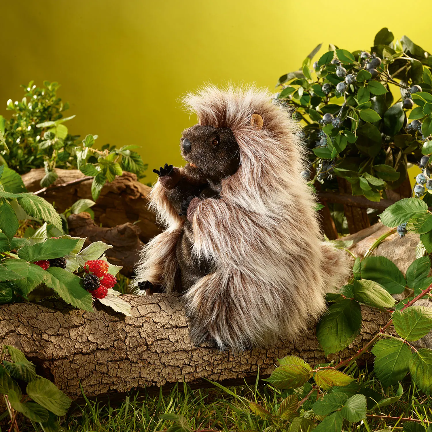 Standing Porcupine / Stehendes Stachelschwein