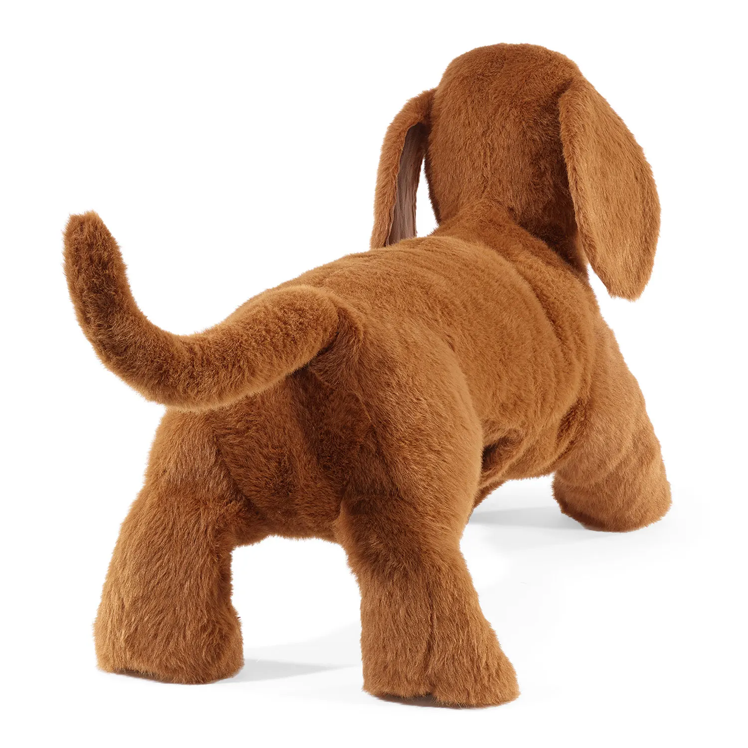 Dachshund / Dackel