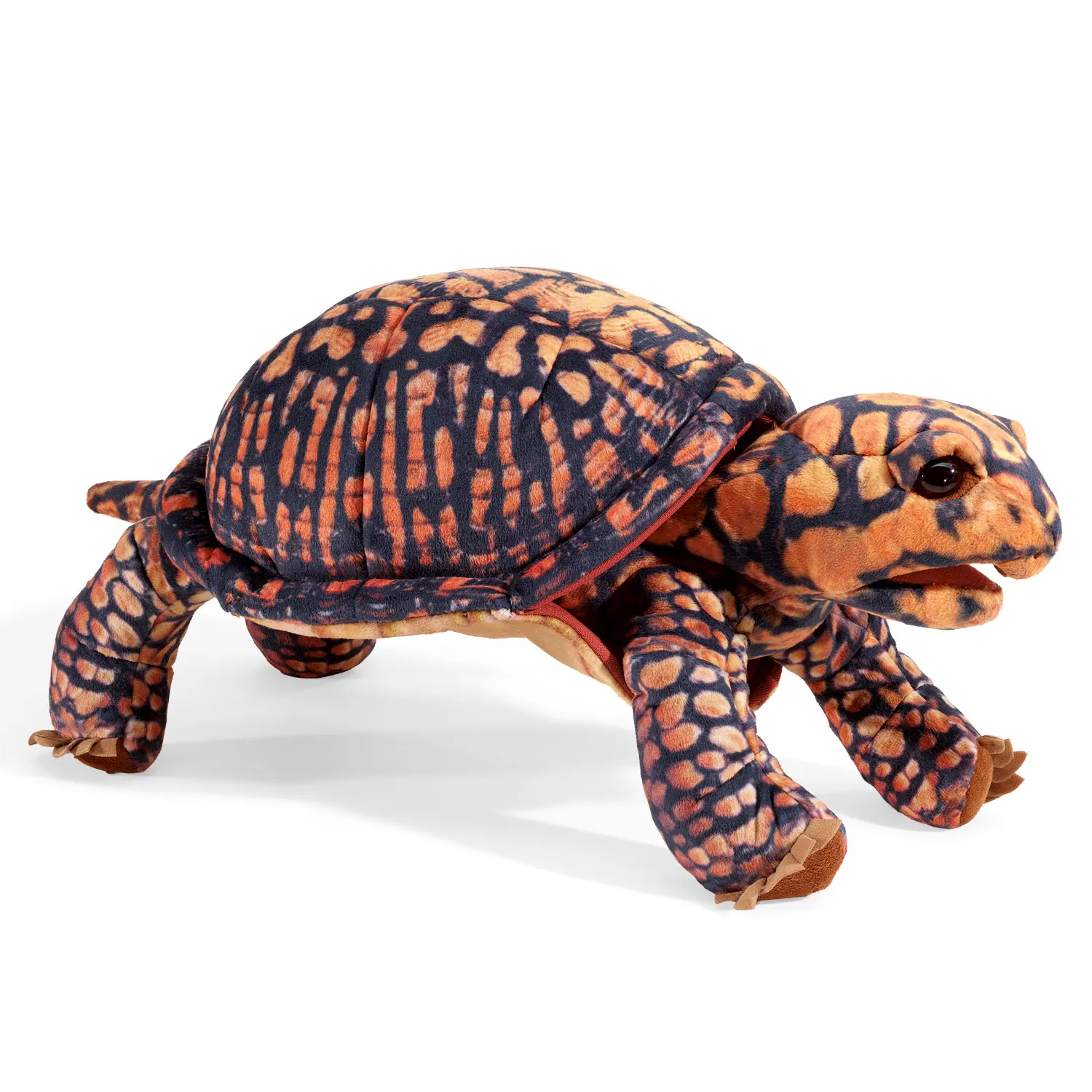 Box Turtle / Dosenschildkröte-Folkmanis® Handpuppen