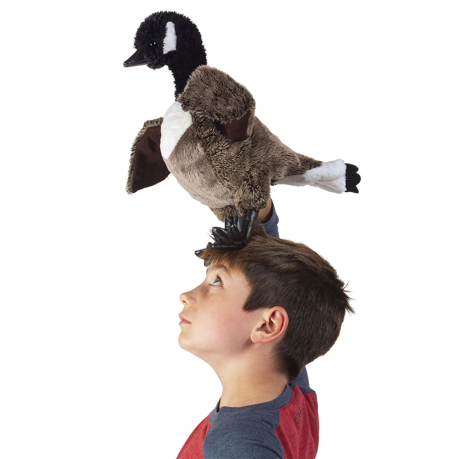Kanada-Gans / Canada Goose-Folkmanis® Puppets