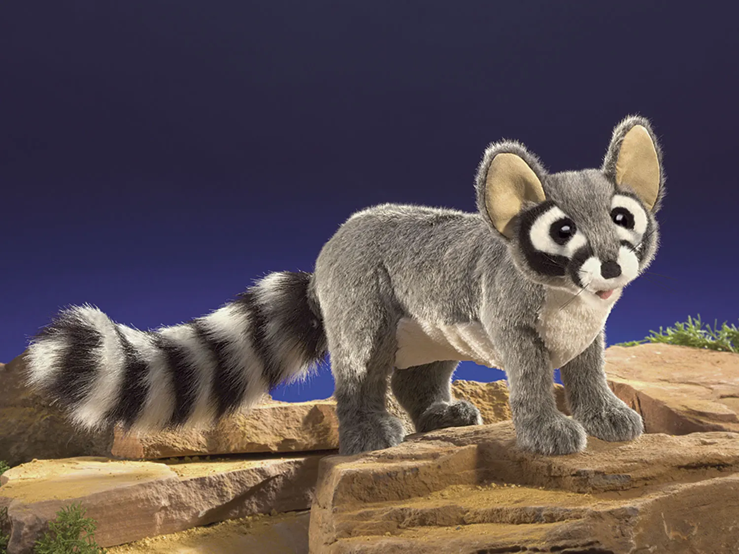 Katzenfrett (aus Waschbärfamilie) / Ringtail Cat-Folkmanis® Puppets