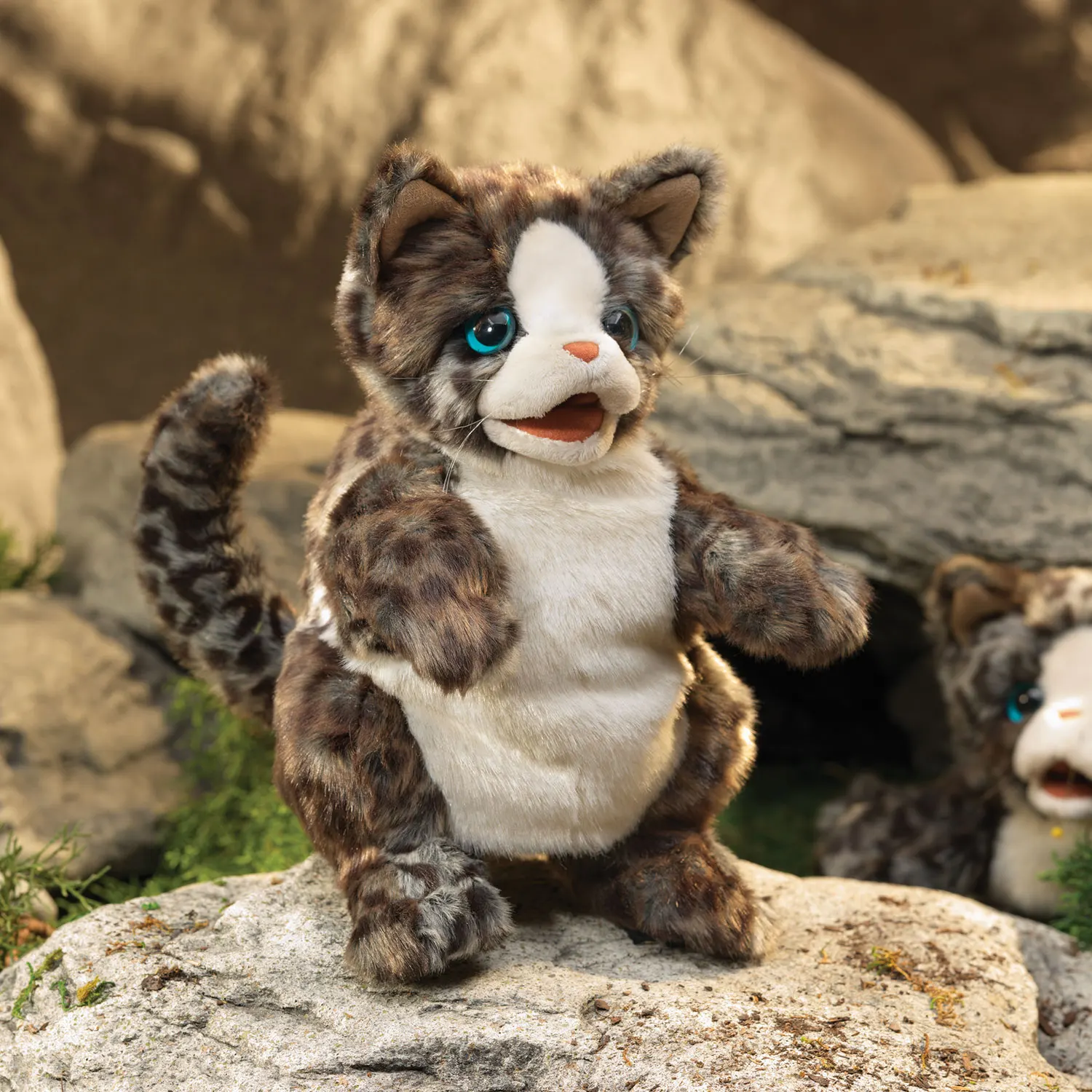 Wildkatzenbaby / Wildcat Kitten-Folkmanis® Puppets