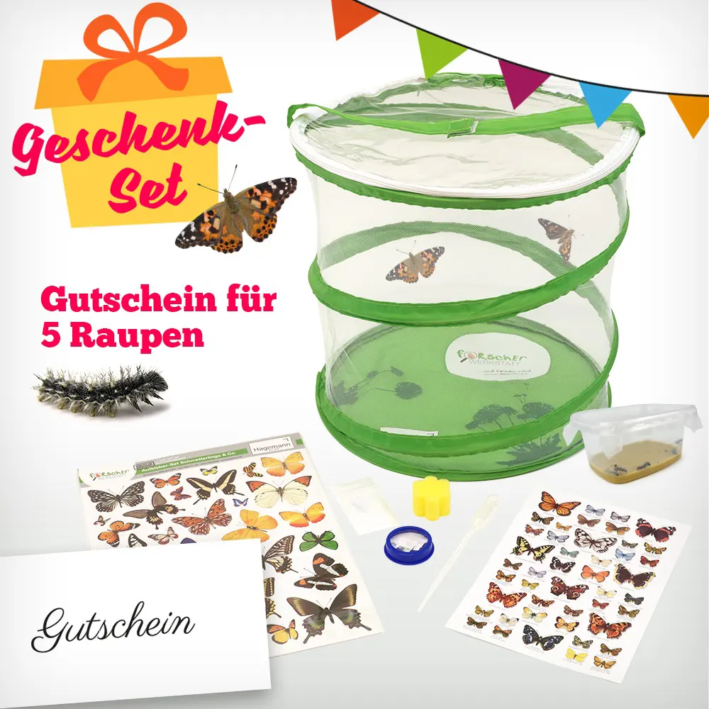 Schmetterlings-Geschenk-Set, Schmetterlingsgarten,Beobachtungs-Set-Hagemann